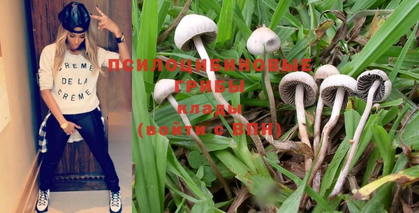 марки nbome Алексеевка