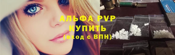 стаф Алексин