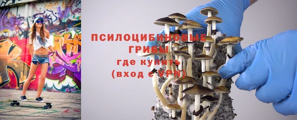 MESCALINE Алзамай