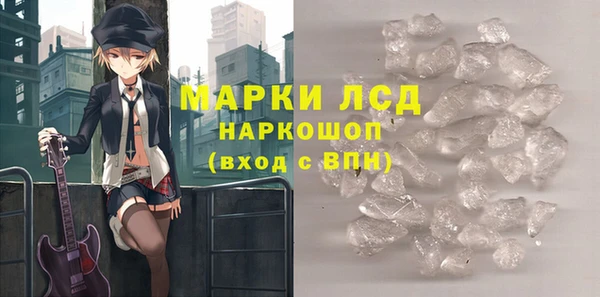 стаф Алексин